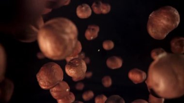 Fındıklar düşer. 1000 fps 'de yüksek hızlı bir kamerayla çekildi. Yüksek kaliteli FullHD görüntüler