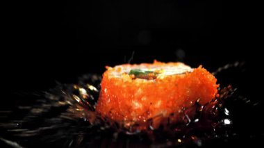 Japon dürümü soya sosunun içine düşer. 1000 fps 'de yüksek hızlı bir kamerayla çekildi. Yüksek kaliteli FullHD görüntüler