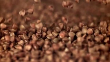 Karabuğday yakın plan. 1000 fps 'de yüksek hızlı bir kamerayla çekildi. Yüksek kaliteli FullHD görüntüler