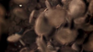 Çikolata parçaları düşer. 1000 fps 'de yüksek hızlı bir kamerayla çekildi. Yüksek kaliteli FullHD görüntüler