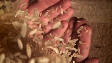 Pirinç onun eline geçiyor. 1000 fps 'de yüksek hızlı bir kamerayla çekildi. Yüksek kaliteli FullHD görüntüler