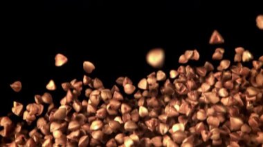 Karabuğday uçar ve düşer. 1000 fps 'de yüksek hızlı bir kamerayla çekildi. Yüksek kaliteli FullHD görüntüler