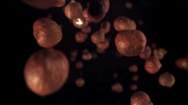 Fındıklar düşer. 1000 fps 'de yüksek hızlı bir kamerayla çekildi. Yüksek kaliteli FullHD görüntüler