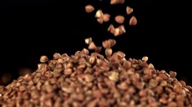 Karabuğday siyah arka plana düşer. 1000 fps 'de yüksek hızlı bir kamerayla çekildi. Yüksek kaliteli FullHD görüntüler