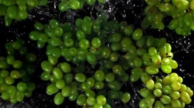 Yeşil üzümler uçar ve düşer. 1000 fps 'de yüksek hızlı bir kamerayla çekildi. Yüksek kaliteli FullHD görüntüler