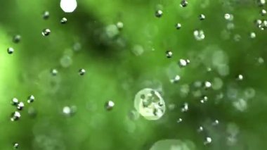 Yağmur damlaları düşer. 1000 fps 'de yüksek hızlı bir kamerayla çekildi. Yüksek kaliteli FullHD görüntüler