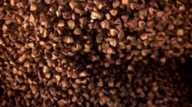 Karabuğday uçar ve düşer. 1000 fps 'de yüksek hızlı bir kamerayla çekildi. Yüksek kaliteli FullHD görüntüler