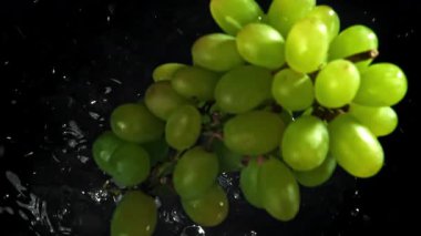 Yeşil üzümler suya düşer. 1000 fps 'de yüksek hızlı bir kamerayla çekildi. Yüksek kaliteli FullHD görüntüler