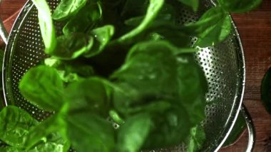 Ispanak yaprakları düşer. 1000 fps 'de yüksek hızlı bir kamerayla çekildi. Yüksek kaliteli FullHD görüntüler