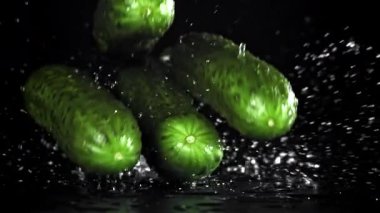 Salatalıklar siyah arka plana düşüyor. 1000 fps 'de yüksek hızlı bir kamerayla çekildi. Yüksek kaliteli FullHD görüntüler
