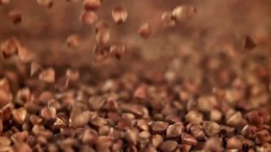 Karabuğday yakın plan. 1000 fps 'de yüksek hızlı bir kamerayla çekildi. Yüksek kaliteli FullHD görüntüler