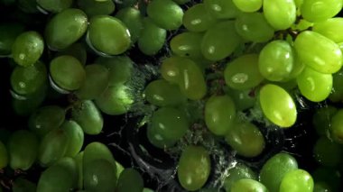 Yeşil üzümler suya düşer. 1000 fps 'de yüksek hızlı bir kamerayla çekildi. Yüksek kaliteli FullHD görüntüler