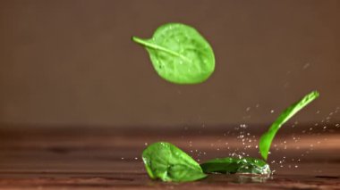 Ispanak yaprakları masaya düşer. 1000 fps 'de yüksek hızlı bir kamerayla çekildi. Yüksek kaliteli FullHD görüntüler