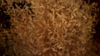 Altın pirinç yükselir ve düşer. 1000 fps 'de yüksek hızlı bir kamerayla çekildi. Yüksek kaliteli FullHD görüntüler