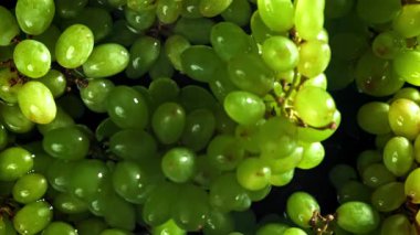Yeşil üzümler suya düşer. 1000 fps 'de yüksek hızlı bir kamerayla çekildi. Yüksek kaliteli FullHD görüntüler