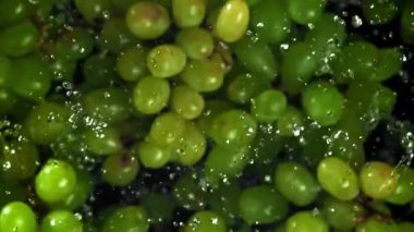 Yeşil üzümler uçar ve düşer. 1000 fps 'de yüksek hızlı bir kamerayla çekildi. Yüksek kaliteli FullHD görüntüler