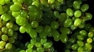 Yeşil üzümler suya düşer. 1000 fps 'de yüksek hızlı bir kamerayla çekildi. Yüksek kaliteli FullHD görüntüler