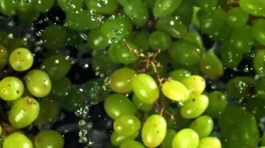 Yeşil üzümler uçar ve düşer. 1000 fps 'de yüksek hızlı bir kamerayla çekildi. Yüksek kaliteli FullHD görüntüler
