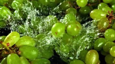 Yeşil üzümler suya düşer. 1000 fps 'de yüksek hızlı bir kamerayla çekildi. Yüksek kaliteli FullHD görüntüler