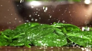 Su damlacıkları ıspanak yapraklarının üzerine düşer. 1000 fps 'de yüksek hızlı bir kamerayla çekildi. Yüksek kaliteli FullHD görüntüler