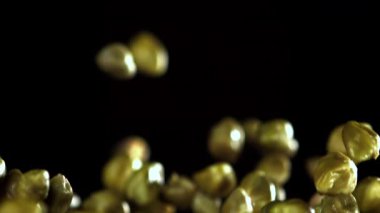 Tuzlu kapari yukarı uçar ve düşer. 1000 fps 'de yüksek hızlı bir kamerayla çekildi. Yüksek kaliteli FullHD görüntüler