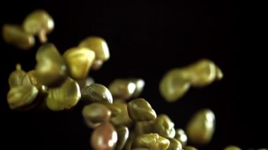 Tuzlu kapari yukarı uçar ve düşer. 1000 fps 'de yüksek hızlı bir kamerayla çekildi. Yüksek kaliteli FullHD görüntüler