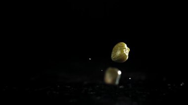 Turşu turşusu masaya düşer. 1000 fps 'de yüksek hızlı bir kamerayla çekildi. Yüksek kaliteli FullHD görüntüler
