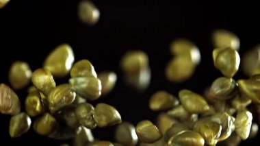 Tuzlu kapari yukarı uçar ve düşer. 1000 fps 'de yüksek hızlı bir kamerayla çekildi. Yüksek kaliteli FullHD görüntüler