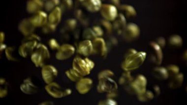 Tuzlu kapari yukarı uçar ve düşer. 1000 fps 'de yüksek hızlı bir kamerayla çekildi. Yüksek kaliteli FullHD görüntüler