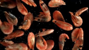 Karidesler suya düşer. 1000 fps 'de yüksek hızlı bir kamerayla çekildi. Yüksek kaliteli FullHD görüntüler