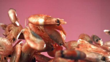 Karides uçar ve düşer. 1000 fps 'de yüksek hızlı bir kamerayla çekildi. Yüksek kaliteli FullHD görüntüler