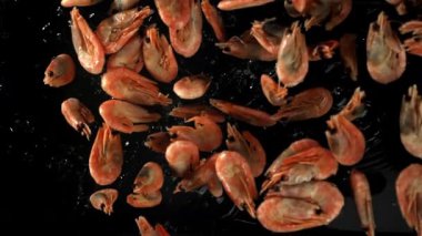 Karidesler suya düşer. 1000 fps 'de yüksek hızlı bir kamerayla çekildi. Yüksek kaliteli FullHD görüntüler