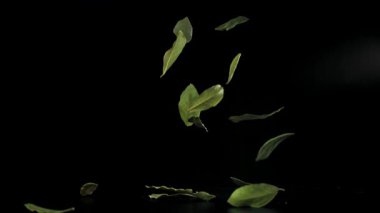 Masaya bir defne yaprağı düşer. 1000 fps 'de yüksek hızlı bir kamerayla çekildi. Yüksek kaliteli FullHD görüntüler