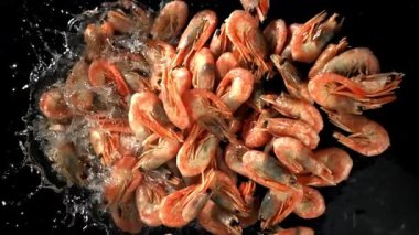 Karidesler suya düşer. 1000 fps 'de yüksek hızlı bir kamerayla çekildi. Yüksek kaliteli FullHD görüntüler