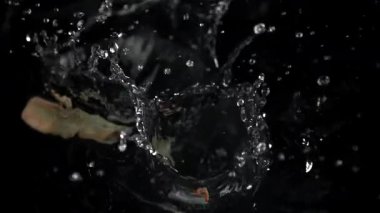 Karidesler suya düşer. 1000 fps 'de yüksek hızlı bir kamerayla çekildi. Yüksek kaliteli FullHD görüntüler