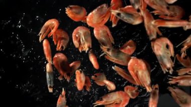 Karidesler suya düşer. 1000 fps 'de yüksek hızlı bir kamerayla çekildi. Yüksek kaliteli FullHD görüntüler