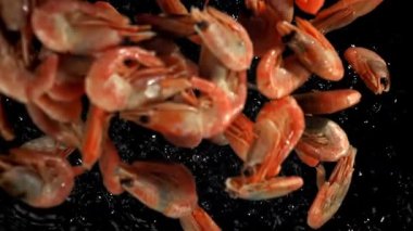 Karidesler suya düşer. 1000 fps 'de yüksek hızlı bir kamerayla çekildi. Yüksek kaliteli FullHD görüntüler