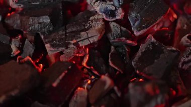 Parlayan közlerin yavaş çekimleri. Yüksek kalite 4k görüntü