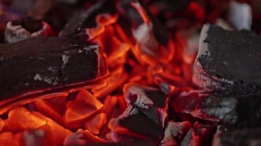 Parlayan közlerin yavaş çekimleri. Yüksek kalite 4k görüntü