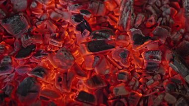 Parlayan közlerin yavaş çekimleri. Yüksek kalite 4k görüntü