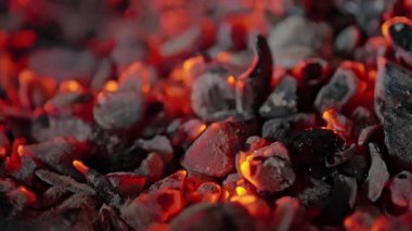 Parlayan közlerin yavaş çekimleri. Yüksek kalite 4k görüntü