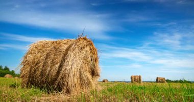 Samanlıkta hareket eden bulutların zamanlaması. Yüksek kalite 4k görüntü