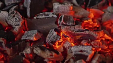 Parlayan közlerin yavaş çekimleri. Yüksek kalite 4k görüntü