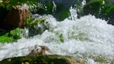 Bir dağ nehri yakından çekilmiş. Yüksek kalite 4k görüntü