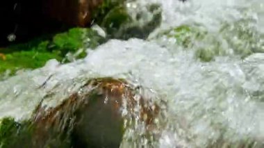 Bir dağ nehri yakından çekilmiş. Yüksek kalite 4k görüntü