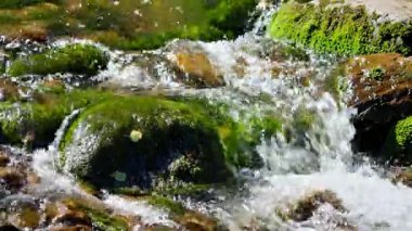 Bir dağ nehri yakından çekilmiş. Yüksek kalite 4k görüntü