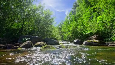 Bir yaz gününde dağ nehri. Yüksek kalite 4k görüntü
