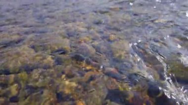 Dağ nehrinin dibindeki taşlar. Yüksek kalite 4k görüntü