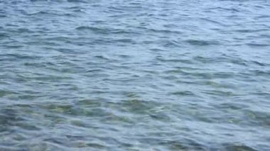 Kumlu bir sahilde deniz dalgaları. Yüksek kalite 4k görüntü