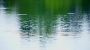 Yağmur damlaları su yüzeyine düşer. Yüksek kalite 4k görüntü